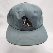 Load image into Gallery viewer, Authentic Skateboard Supply - Franny Grey Strap Back