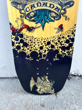 Load image into Gallery viewer, Rayne - 2013 Misfortune
