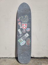 Load image into Gallery viewer, Powell Peralta - Byron Essert Pro Mini Frog Flight