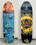 Rayne - 2013 Misfortune
